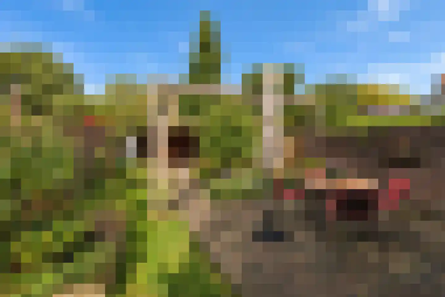 Oosterlaan 12 Driebergen-Rijsenburg thumbnail 40