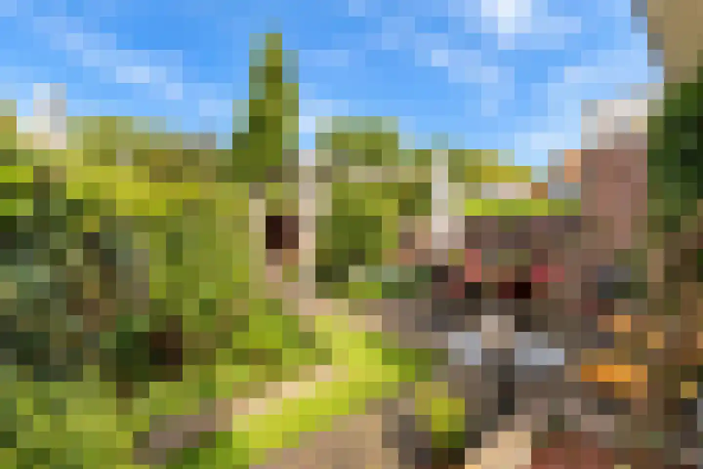 Oosterlaan 12 Driebergen-Rijsenburg thumbnail 42