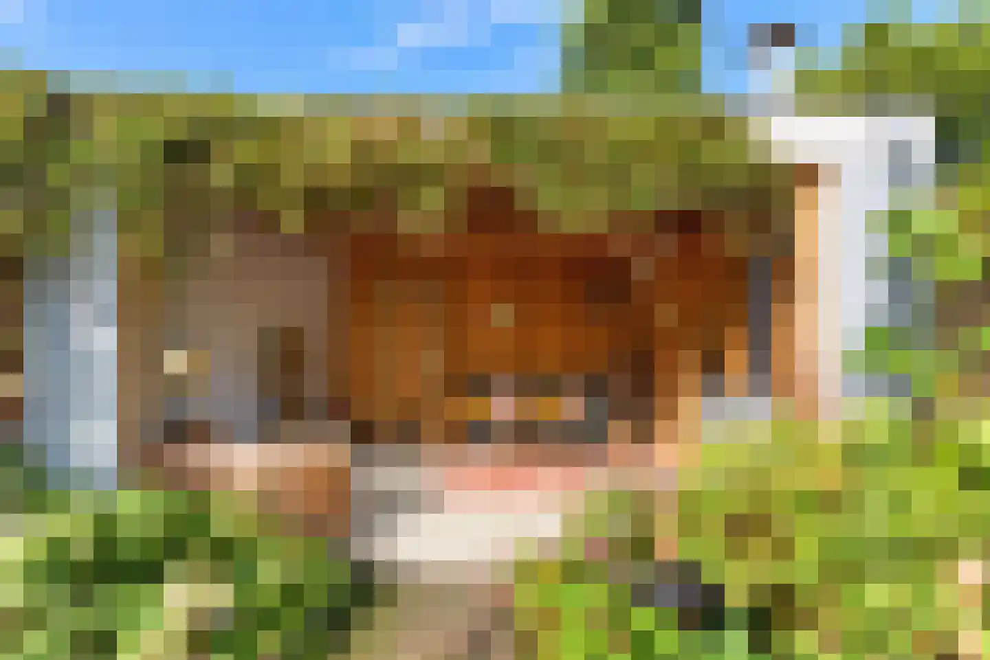Oosterlaan 12 Driebergen-Rijsenburg thumbnail 43