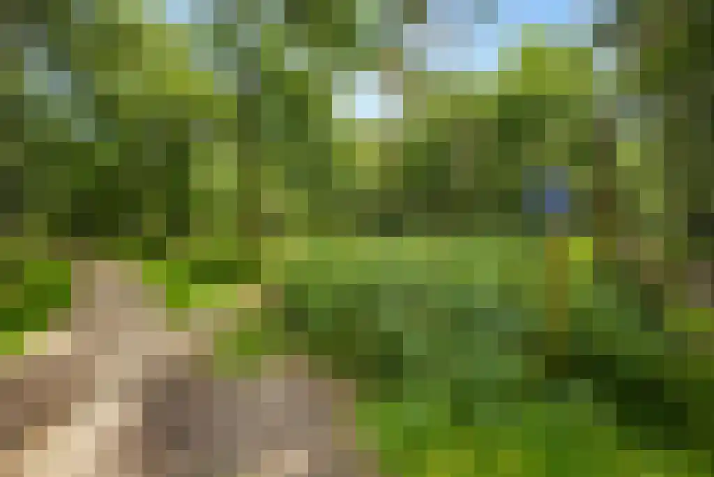 Oosterlaan 12 Driebergen-Rijsenburg thumbnail 5