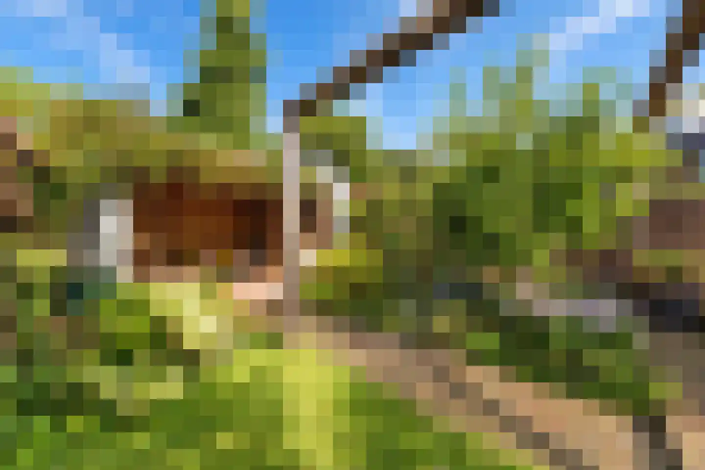 Oosterlaan 12 Driebergen-Rijsenburg thumbnail 6
