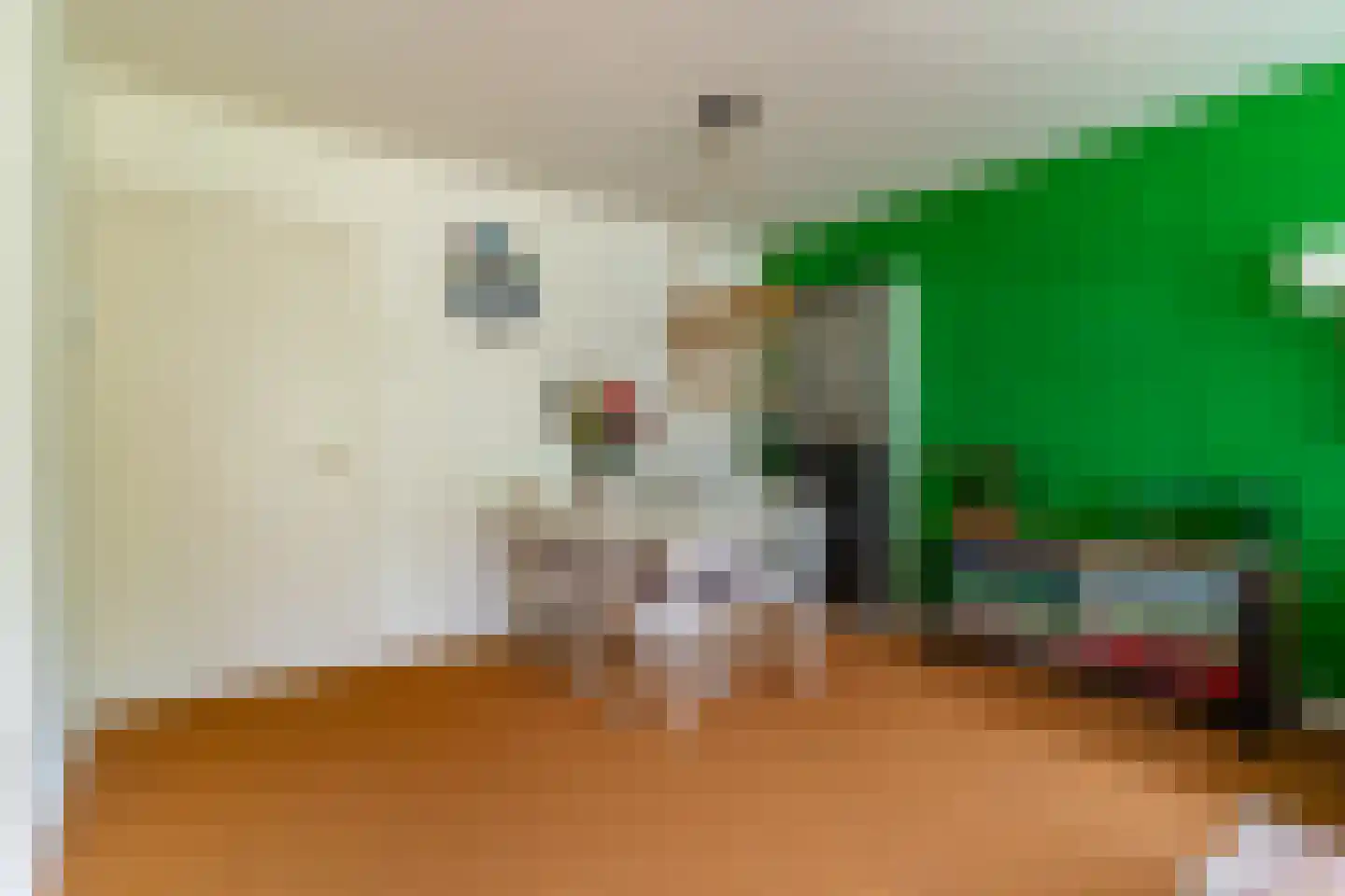 Oosterlaan 123 Nunspeet thumbnail 24