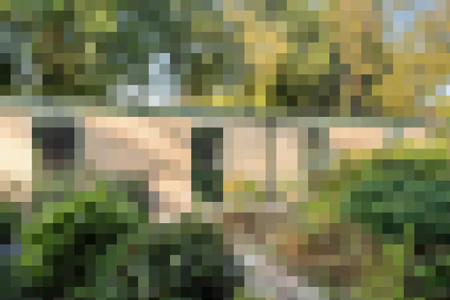 Oosterlaan 125 Nunspeet thumbnail 24