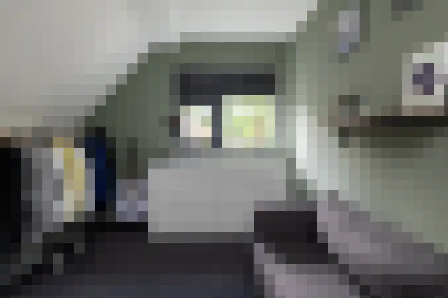 Oosterlaan 16 b Nunspeet thumbnail 36