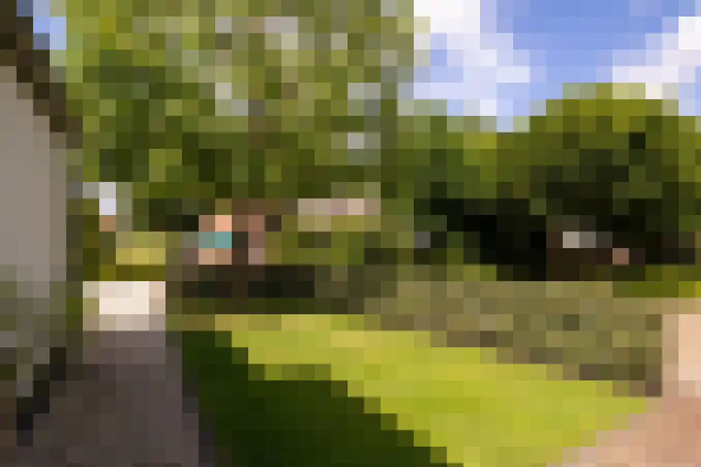 Oosterlaan 16 b Nunspeet thumbnail 39