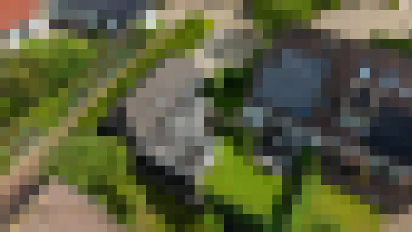 Oosterlaan 16 b Nunspeet thumbnail 5