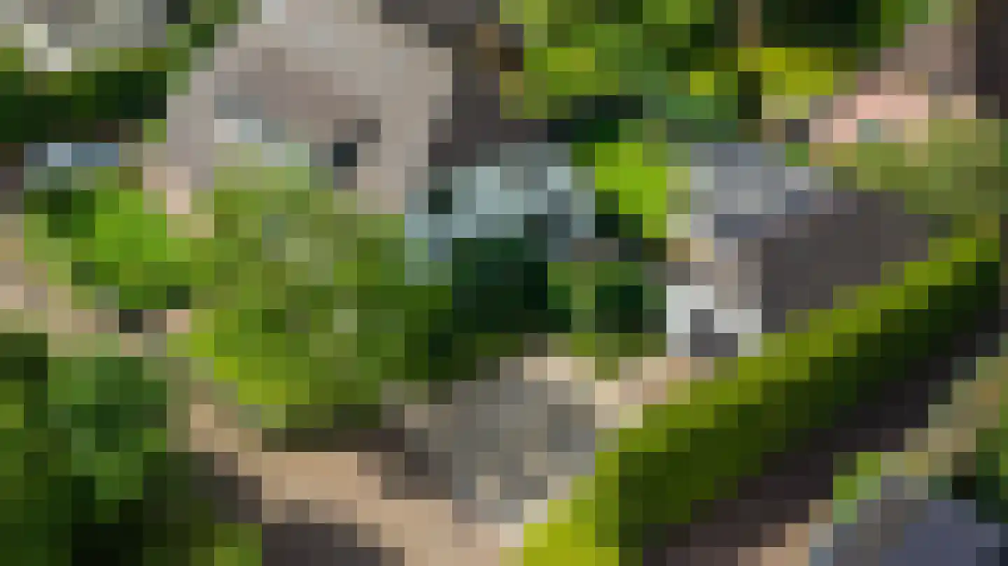 Oosterlaan 16 b Nunspeet thumbnail 8