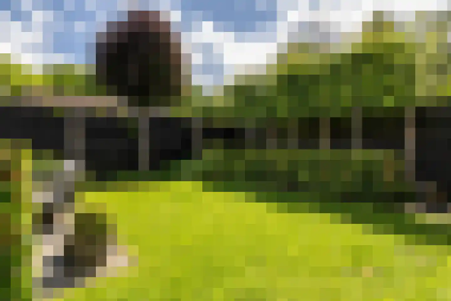 Oosterlaan 16 b Nunspeet thumbnail 9