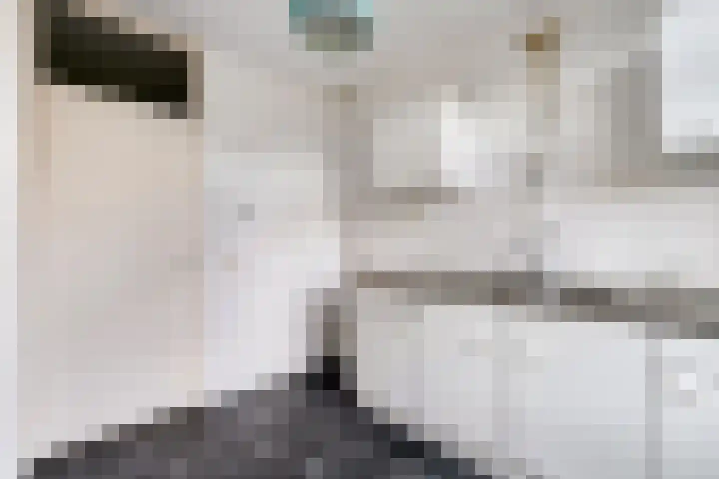 Oosterlaan 165 Nunspeet thumbnail 16