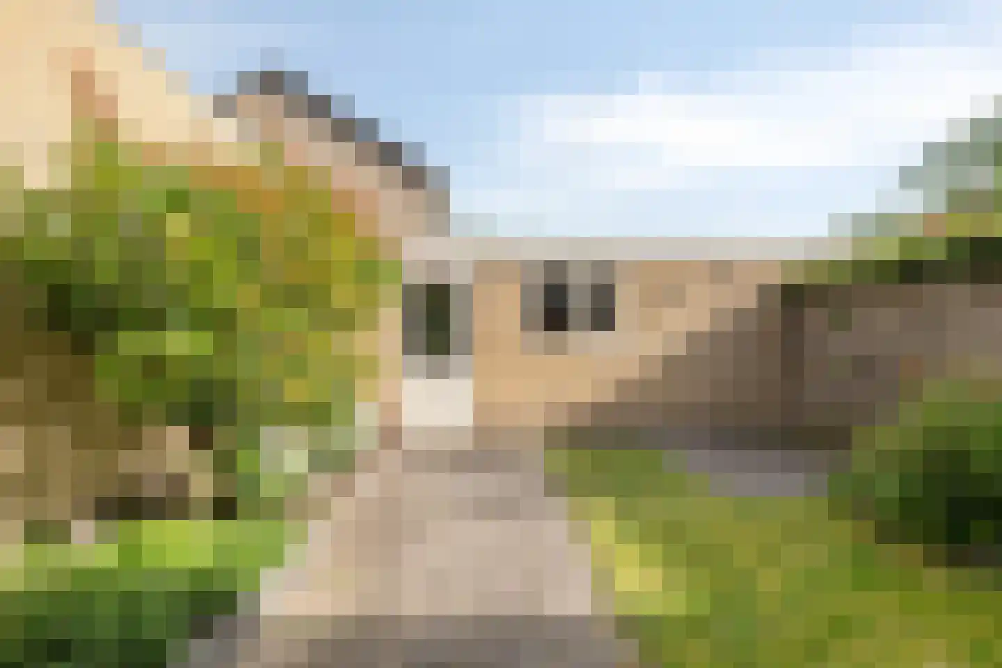 Oosterlaan 165 Nunspeet thumbnail 34