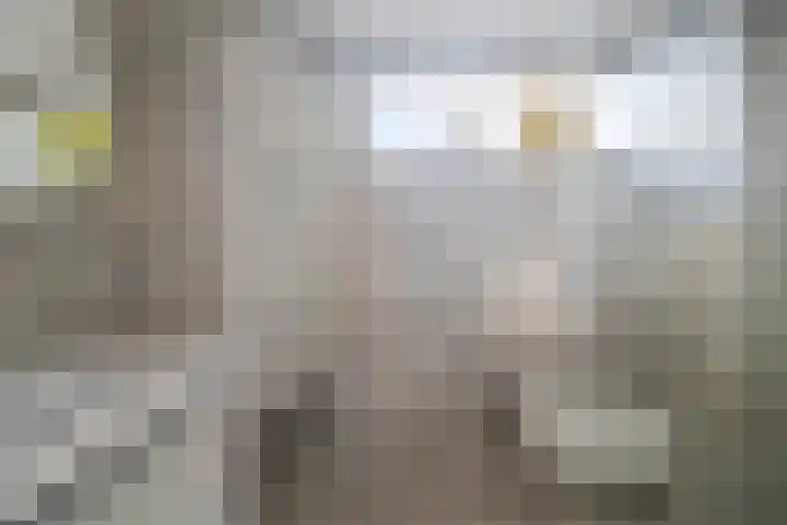 Oosterlaan 173 Nunspeet thumbnail 26