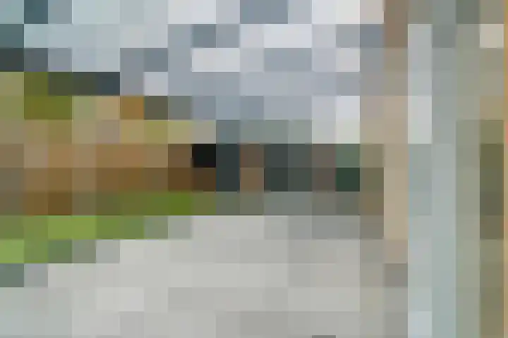 Oosterlaan 173 Nunspeet thumbnail 36
