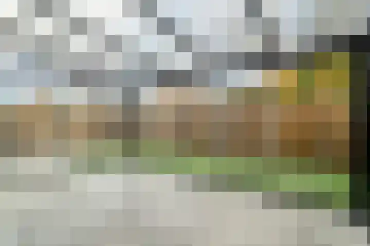 Oosterlaan 173 Nunspeet thumbnail 38