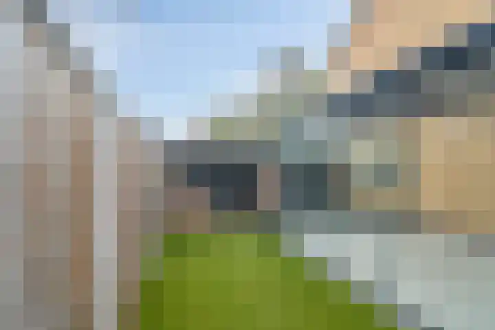 Oosterlaan 173 Nunspeet thumbnail 42