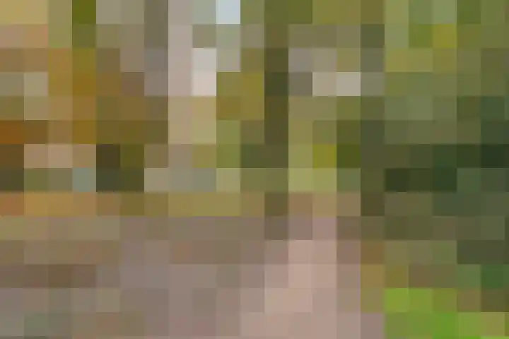 Oosterlaan 173 Nunspeet thumbnail 44