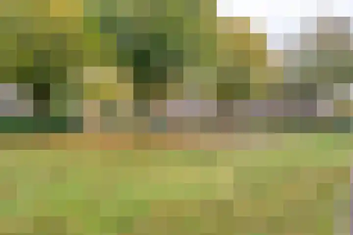 Oosterlaan 173 Nunspeet thumbnail 45