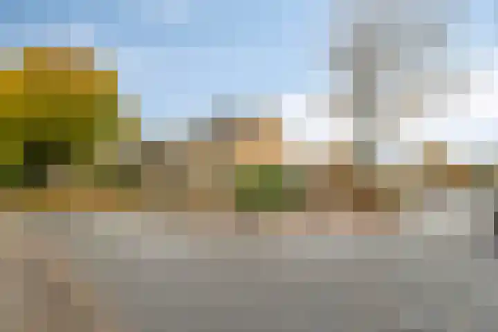 Oosterlaan 173 Nunspeet thumbnail 5