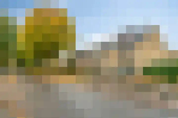 Oosterlaan 173 Nunspeet thumbnail 6