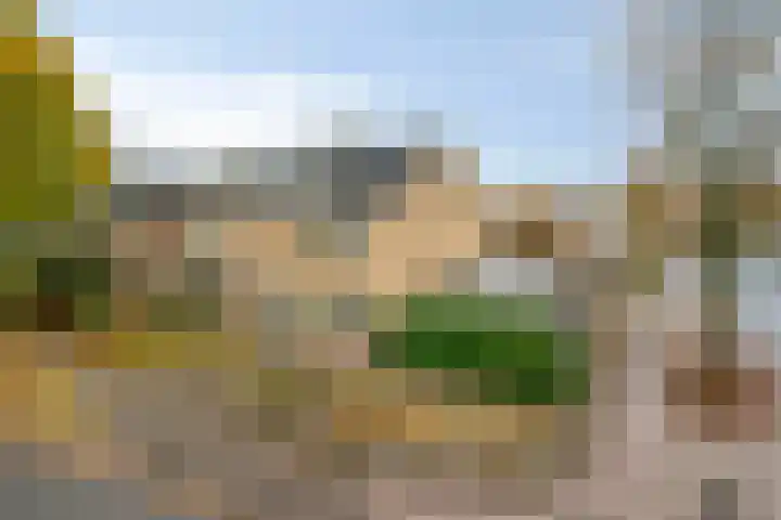 Oosterlaan 173 Nunspeet thumbnail 7