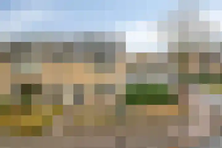 Oosterlaan 173 Nunspeet thumbnail 8