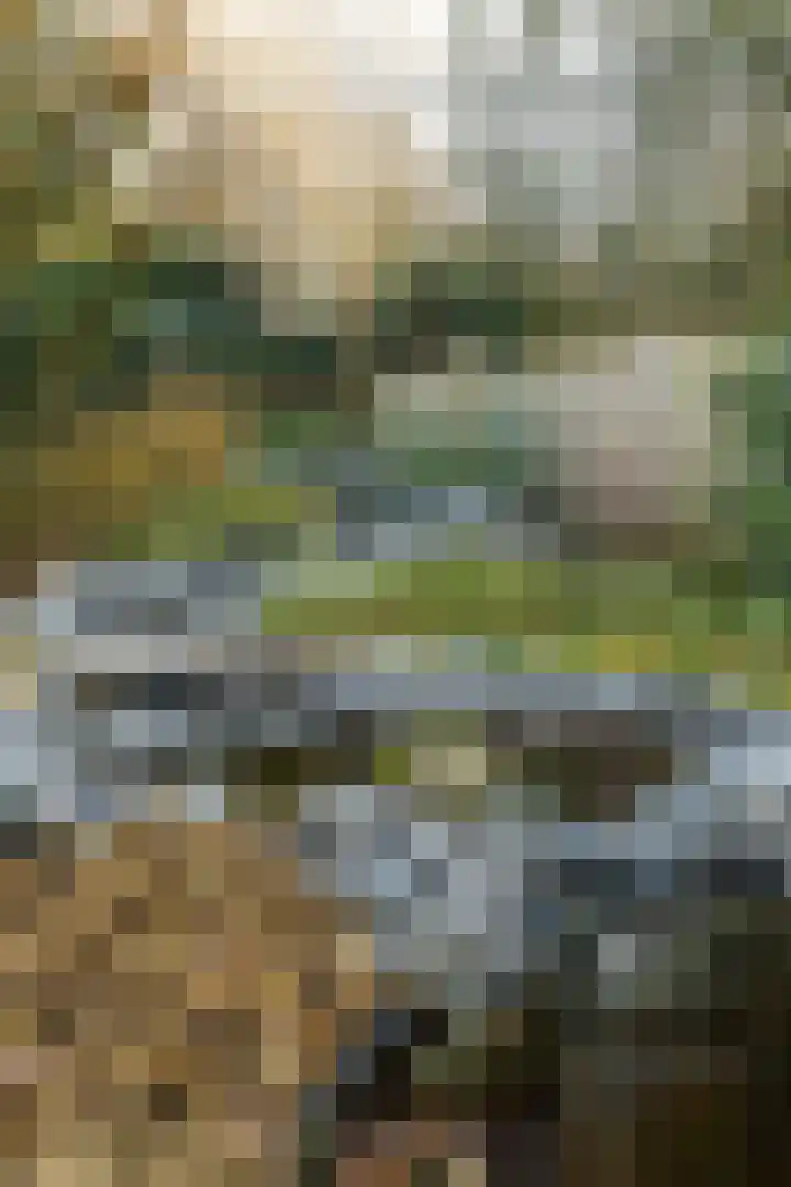 Oosterlaan 22 Nunspeet thumbnail 10