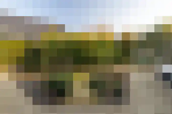 Oosterlaan 22 Nunspeet thumbnail 11