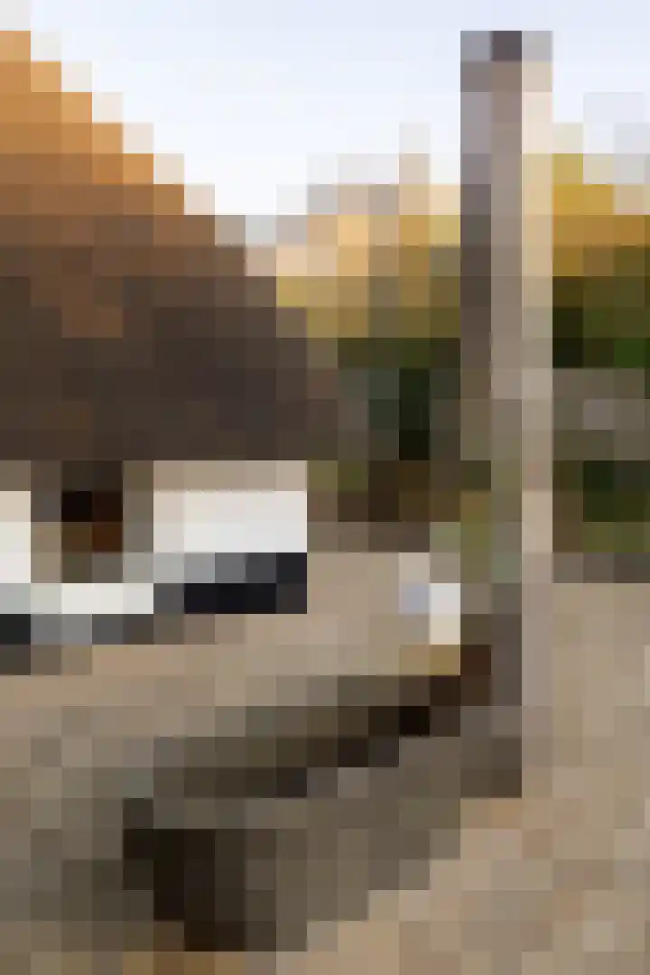 Oosterlaan 22 Nunspeet thumbnail 13