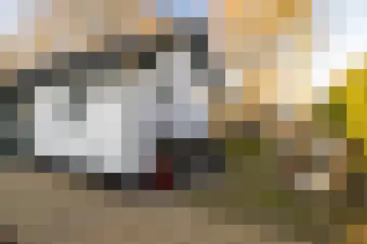 Oosterlaan 22 Nunspeet thumbnail 14