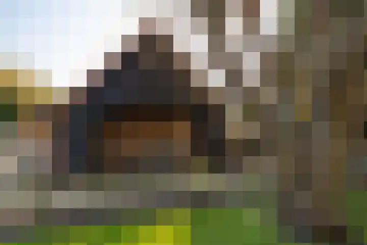 Oosterlaan 22 Nunspeet thumbnail 16
