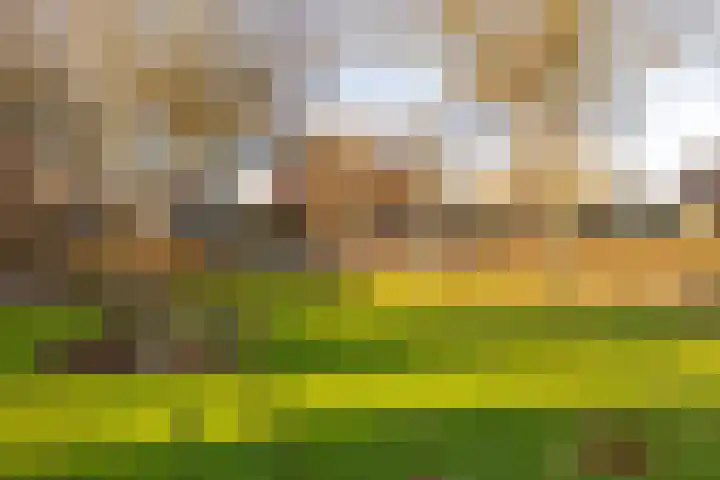 Oosterlaan 22 Nunspeet thumbnail 17