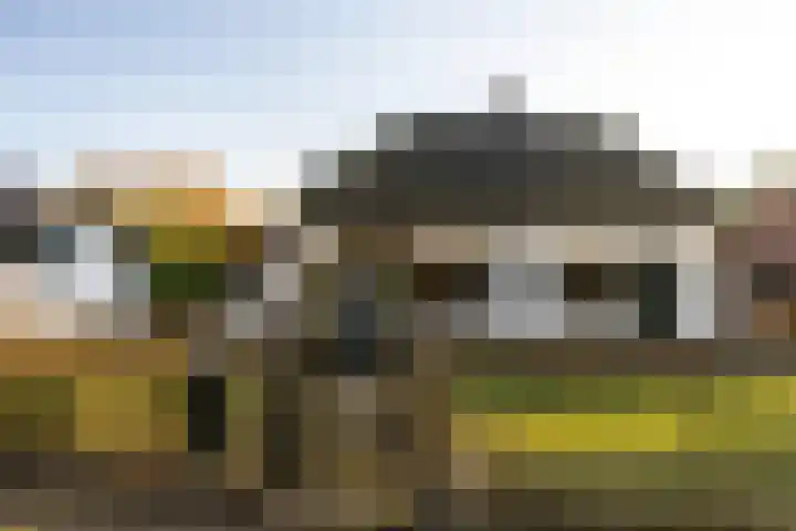 Oosterlaan 22 Nunspeet thumbnail 18