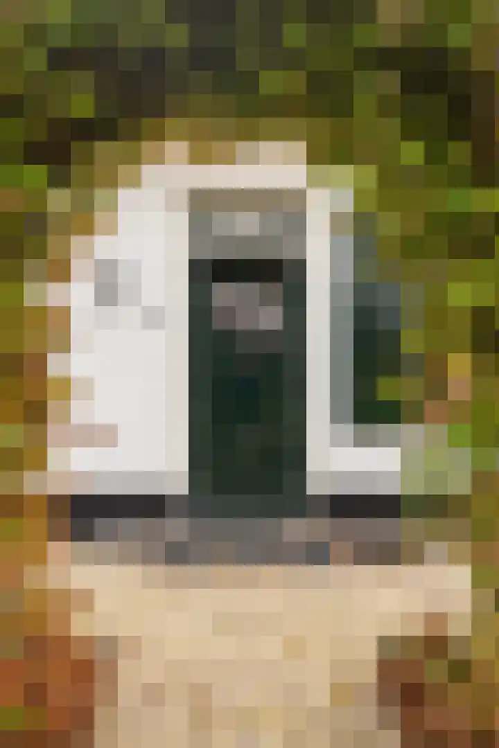 Oosterlaan 22 Nunspeet thumbnail 20