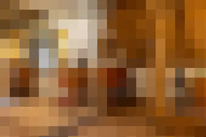Oosterlaan 22 Nunspeet thumbnail 27