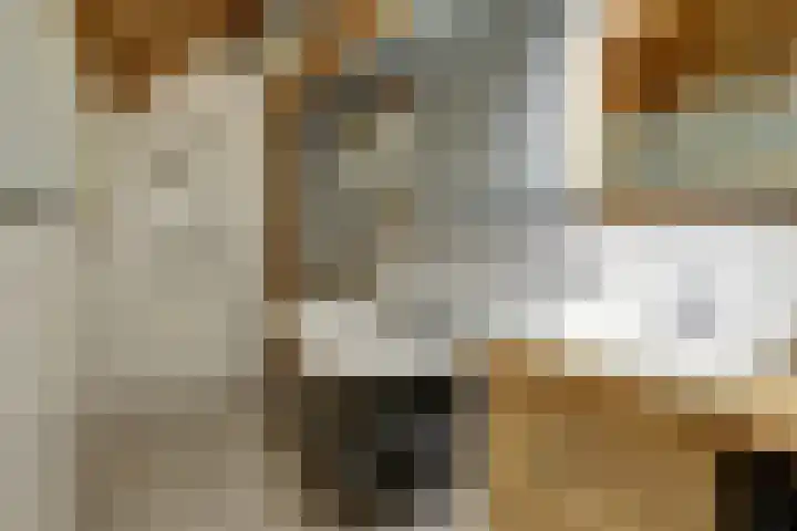 Oosterlaan 22 Nunspeet thumbnail 38