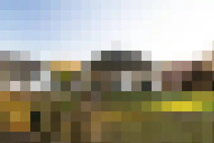 Oosterlaan 22 Nunspeet thumbnail 4