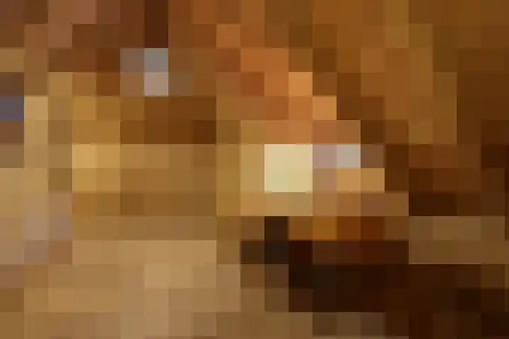 Oosterlaan 22 Nunspeet thumbnail 45