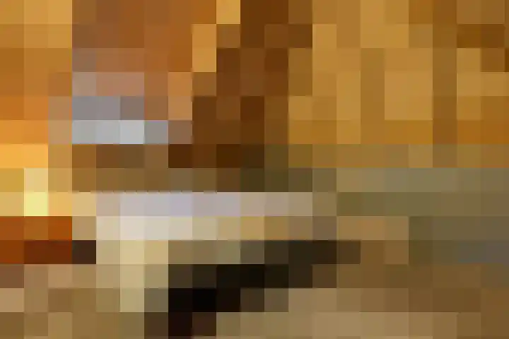 Oosterlaan 22 Nunspeet thumbnail 47