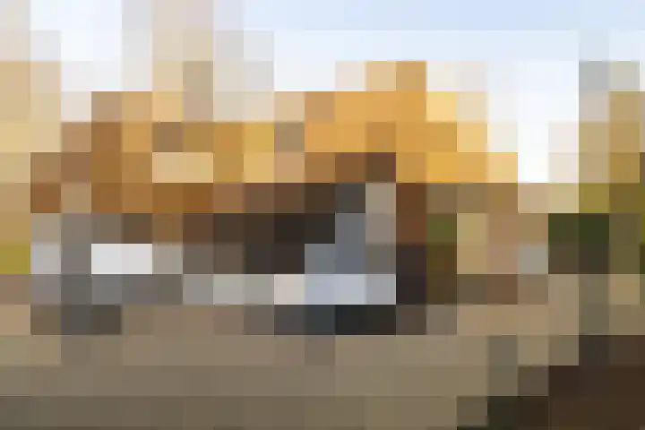 Oosterlaan 22 Nunspeet thumbnail 5