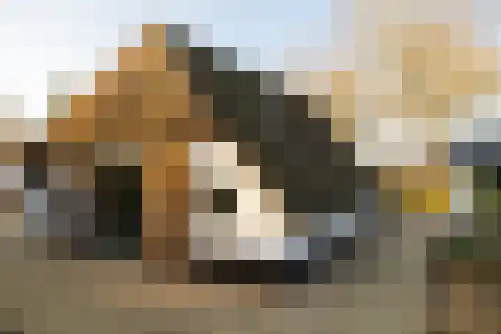 Oosterlaan 22 Nunspeet thumbnail 6