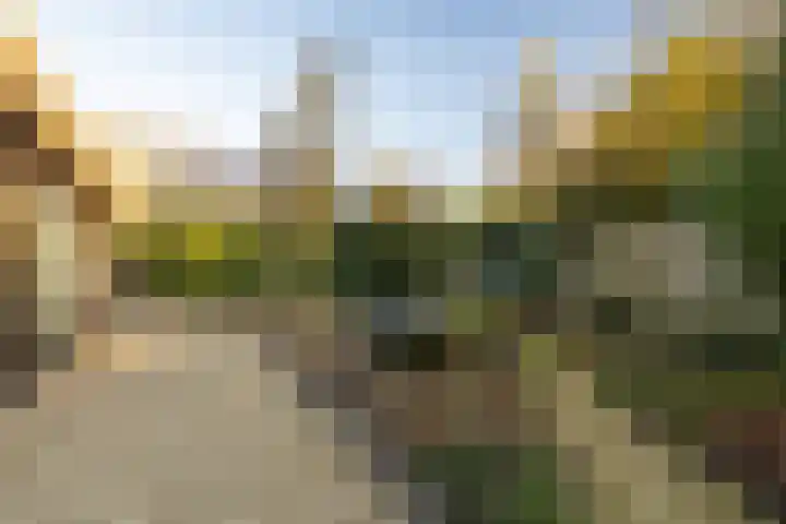 Oosterlaan 22 Nunspeet thumbnail 8