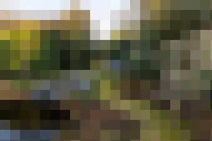 Oosterlaan 22 Nunspeet thumbnail 9