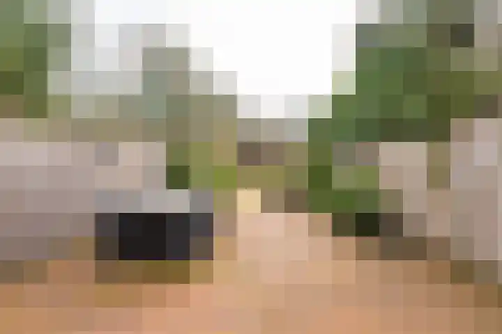 Oosterlaan 23 Driebergen-Rijsenburg thumbnail 34