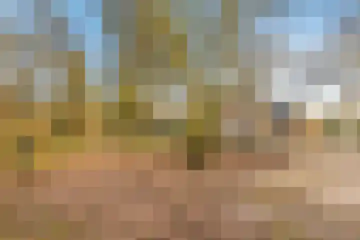 Oosterlaan 23 Driebergen-Rijsenburg thumbnail 4