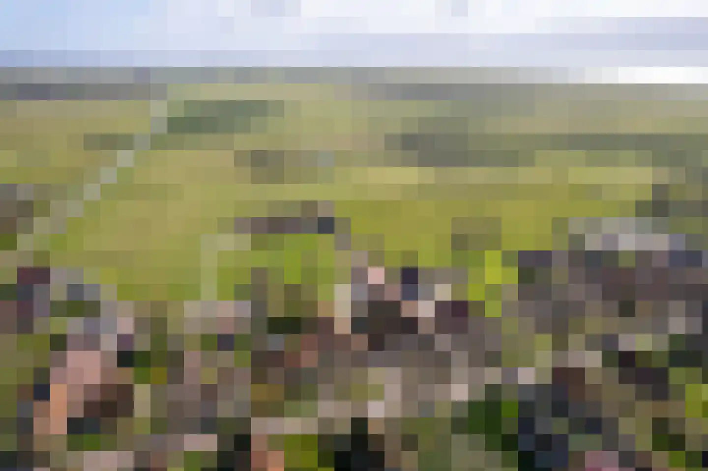 Oosterlaan 26 Hollum thumbnail 10