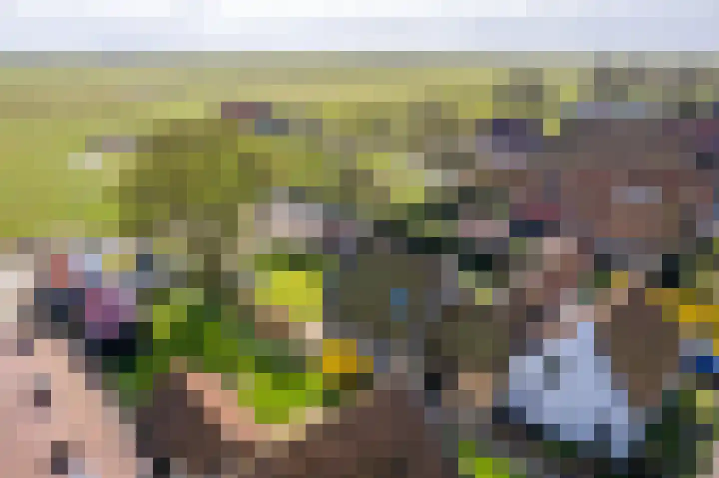 Oosterlaan 26 Hollum thumbnail 14