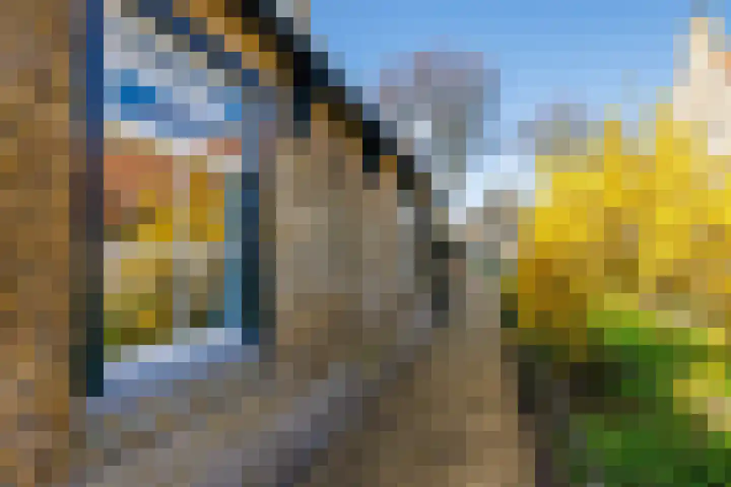 Oosterlaan 26 Hollum thumbnail 23