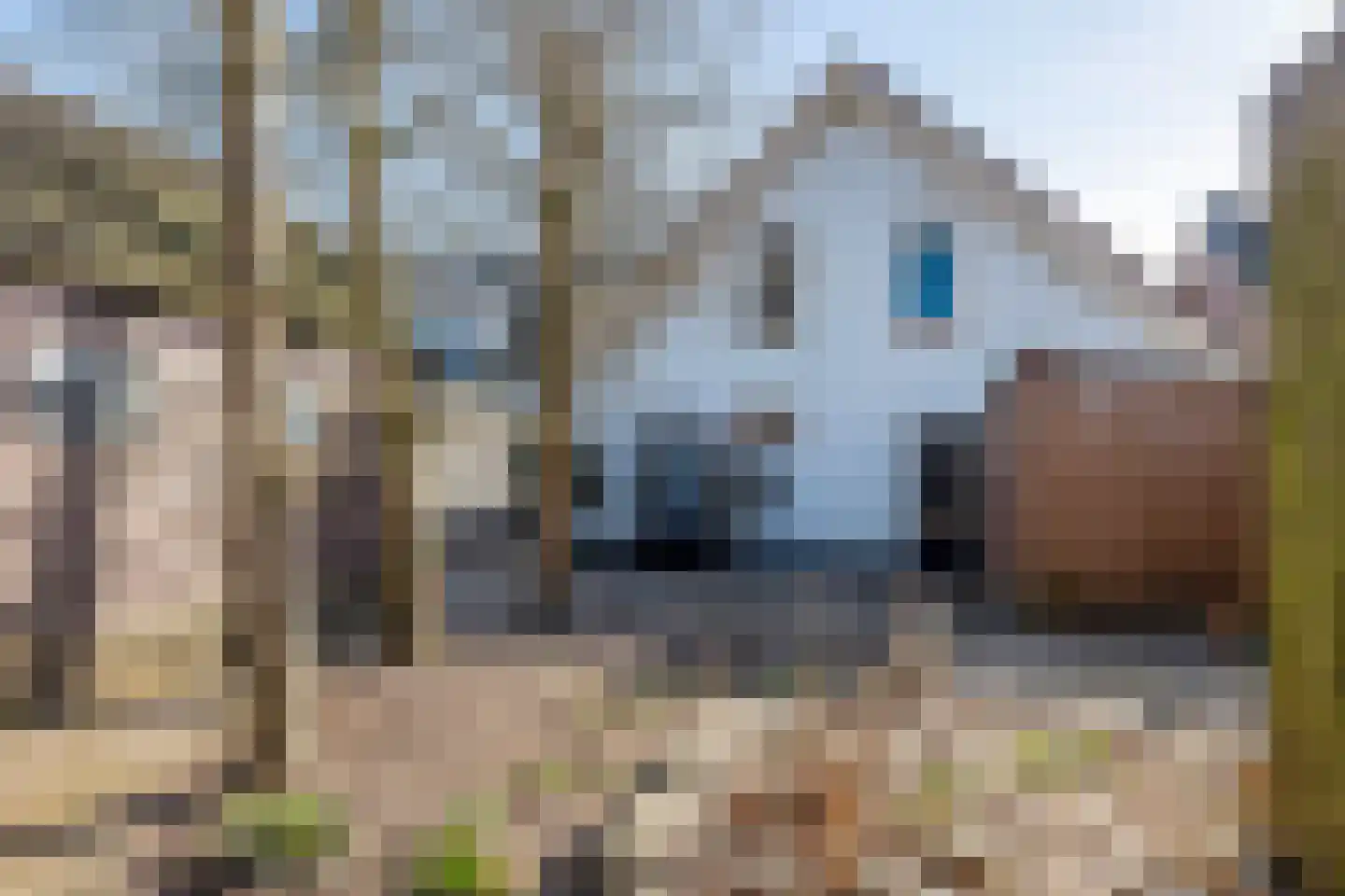 Oosterlaan 33 Apeldoorn thumbnail 19