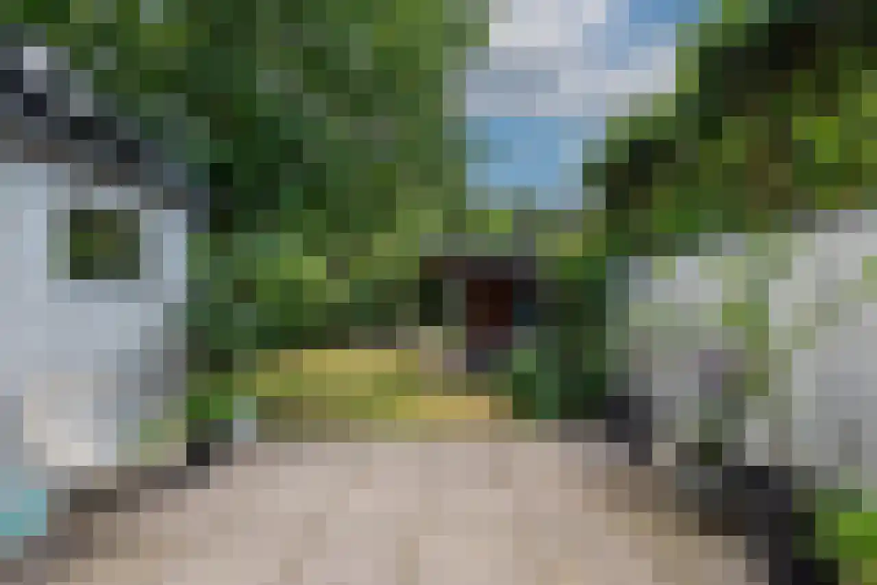 Oosterlaan 37 Driebergen-Rijsenburg thumbnail 18