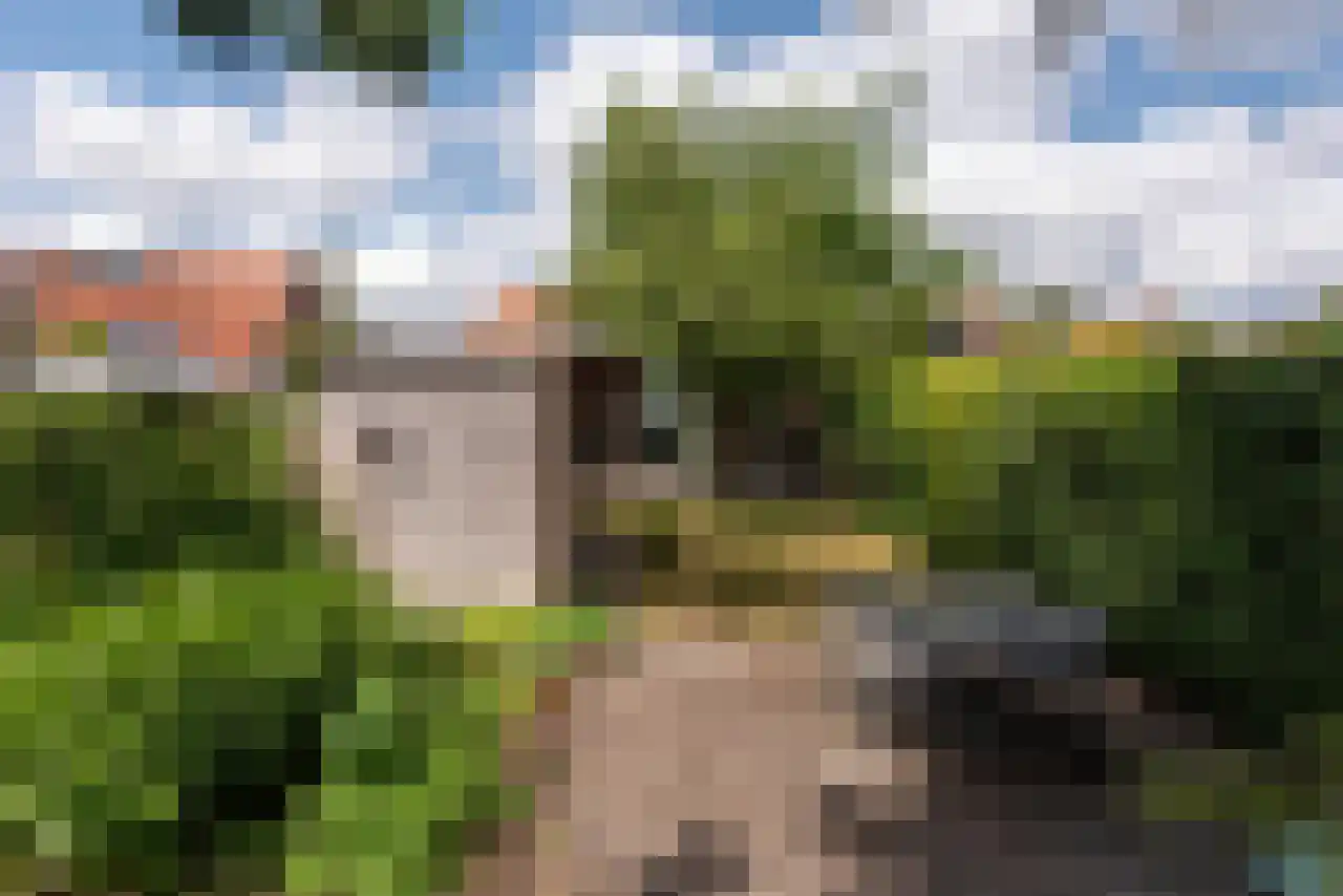 Oosterlaan 37 Driebergen-Rijsenburg thumbnail 22