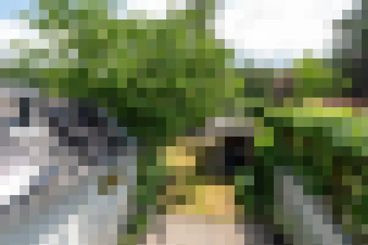 Oosterlaan 37 Driebergen-Rijsenburg thumbnail 28